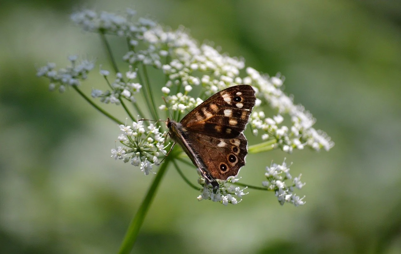 A stylized, glowing digital icon representing immersive storytelling.